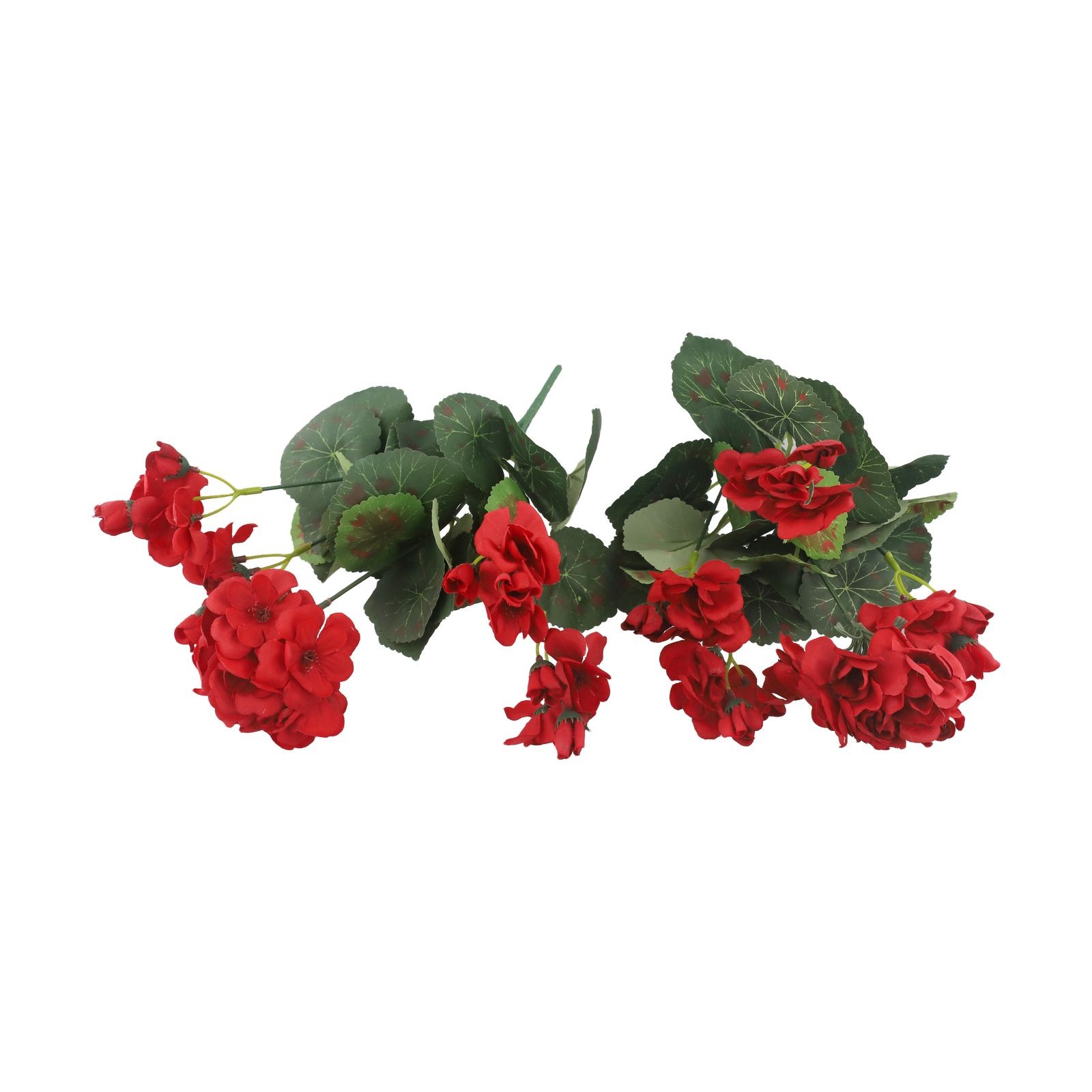 skartoffel blumenkasten Ssskartoffel Mix Tricolore Bio & Demeter Box bestellen
