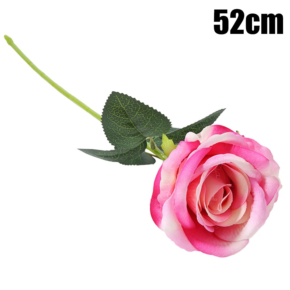 Bild 21 von 31