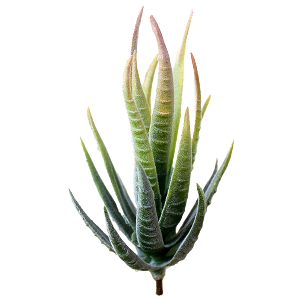 Fresh and Vibrant Artificial Aloe Plant Realistic Simulation Fake Flower