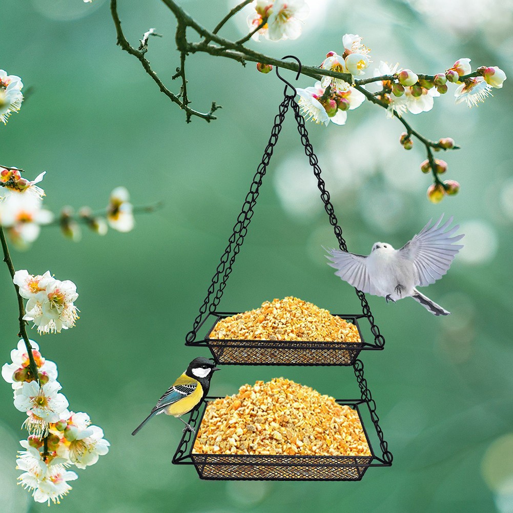 Mangeoire à oiseaux suspendue 2024 pratique et pratique adaptée à tout jardin ou b