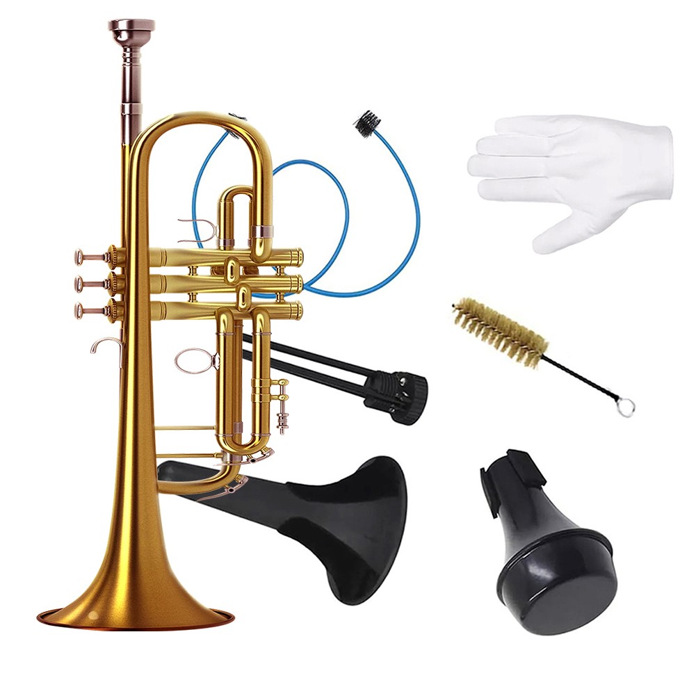 Kit de instrumentos de latón de mantenimiento de instrumentos de latón para eliminación de suciedad tamaño compacto - Imagen 1 de 12