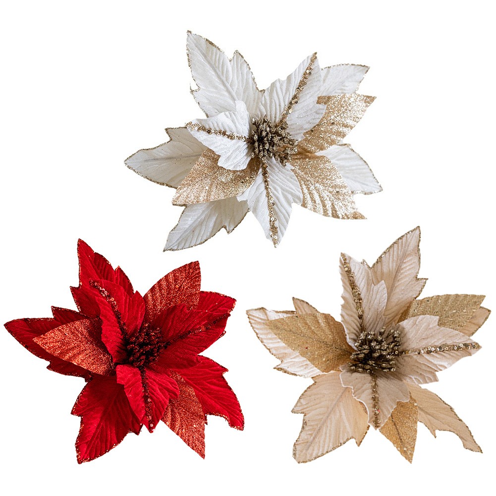 musa florida variegata Musa 'Florida Variegata' For Sale main image 1
