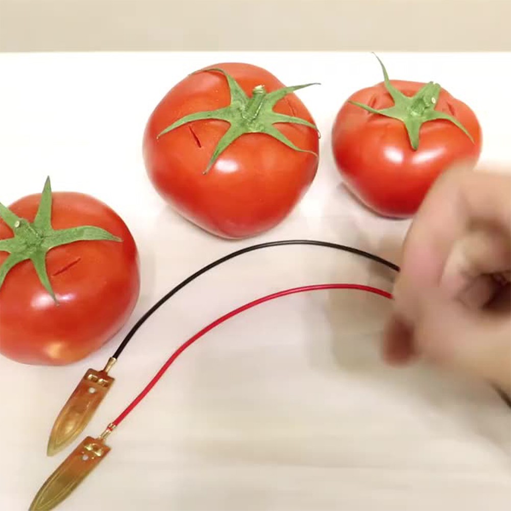 Obst‑Batterie Experimentierset – Pädagogisches Spielzeug Für Physik‑ & MINT‑Projekte, Ab 7 Jahren