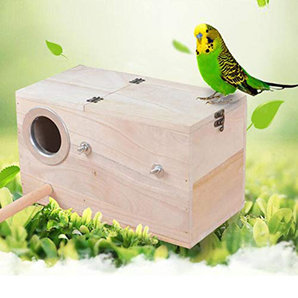 Bo?te de reproduction doiseaux en vente bois cr��e un habitat naturel pour perroquet