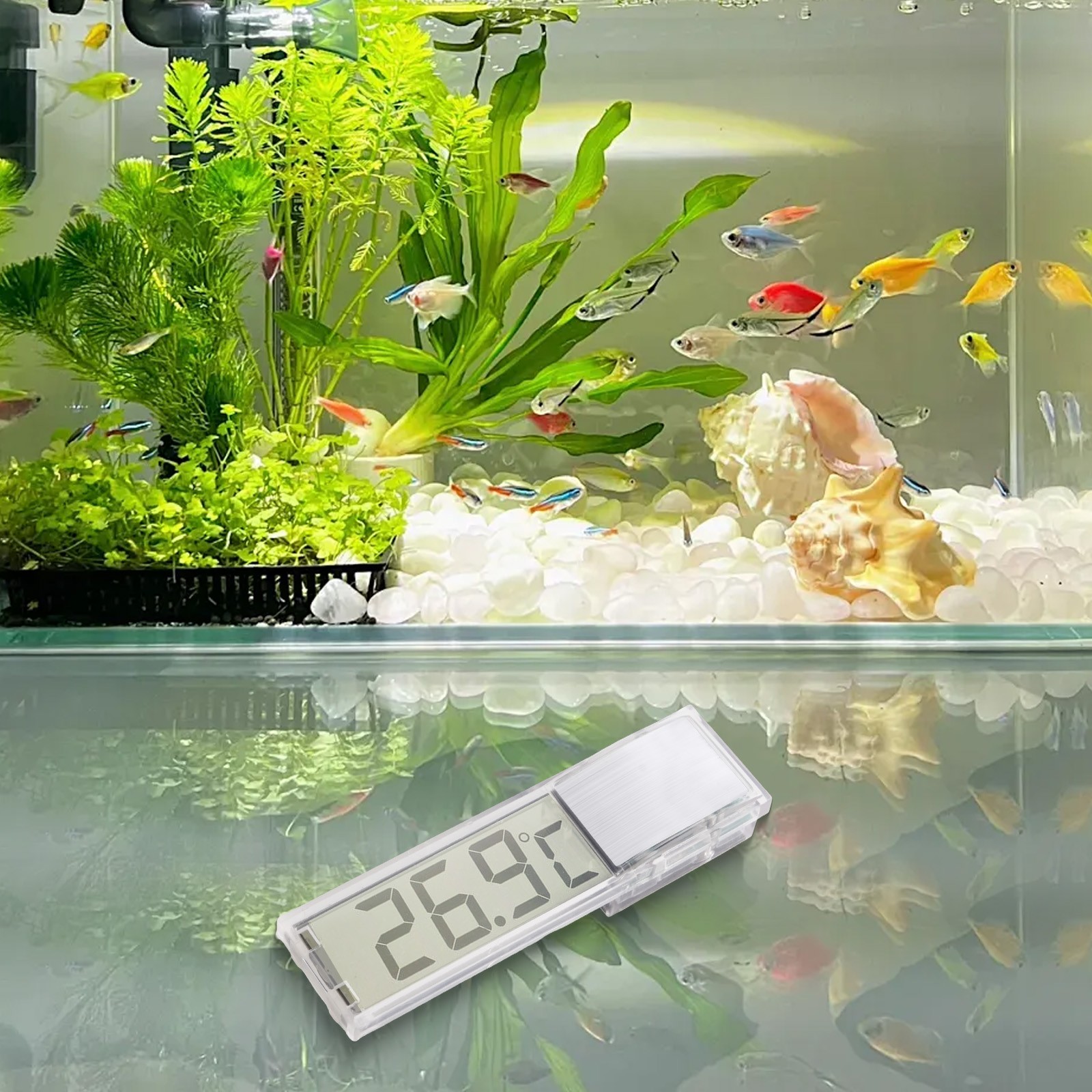 Fish Tank Temperature Monitor Digital LCD Thermometer with Easy Sticker Install - Picture 15 of 24