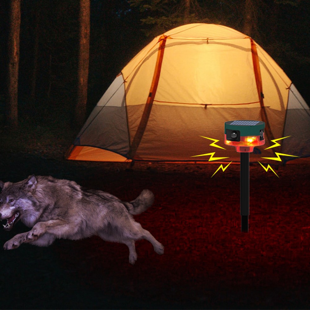 Capteur Infrarouge 360 Degr??s Alarme Dissuasion Animale Plusieurs Modes - Photo 20/25