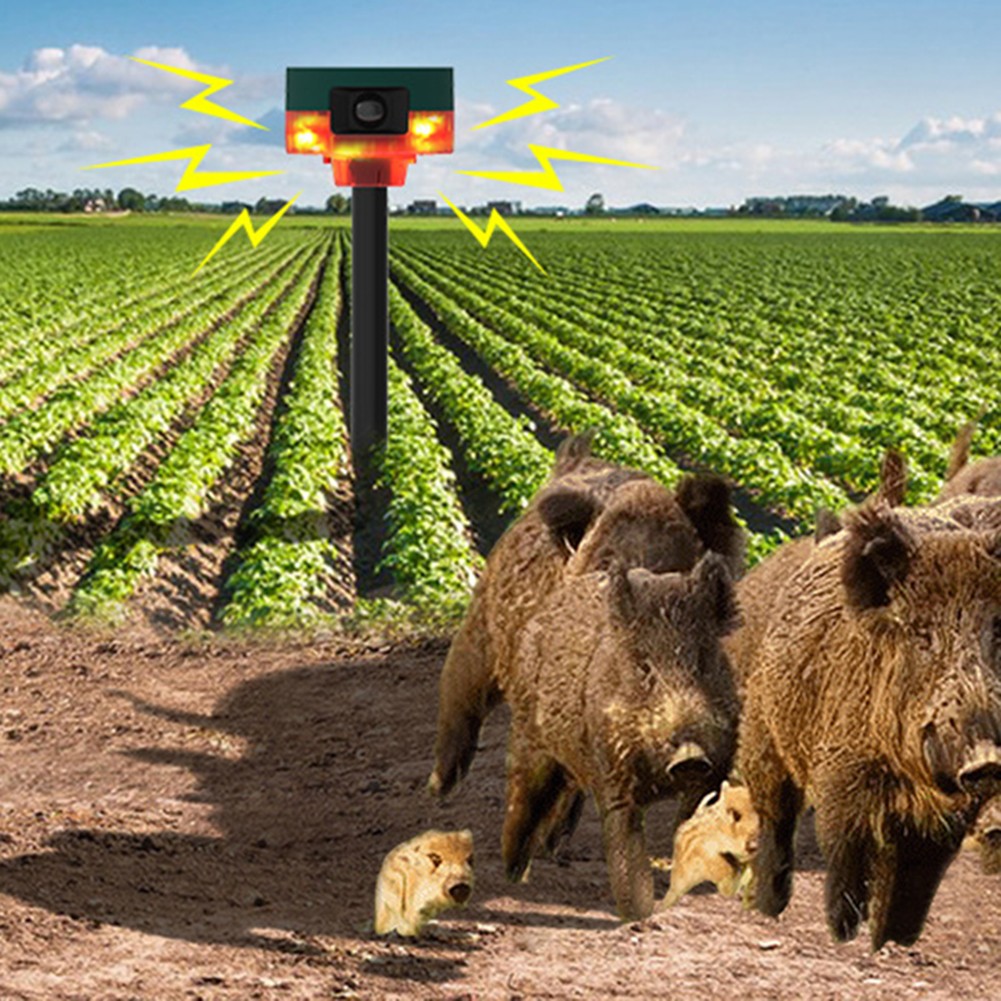 Capteur Infrarouge 360 Degr??s Alarme Dissuasion Animale Plusieurs Modes - Photo 16/25
