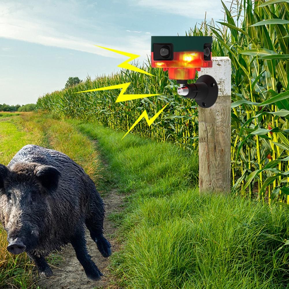 Capteur Infrarouge 360 Degr??s Alarme Dissuasion Animale Plusieurs Modes - Photo 15/25