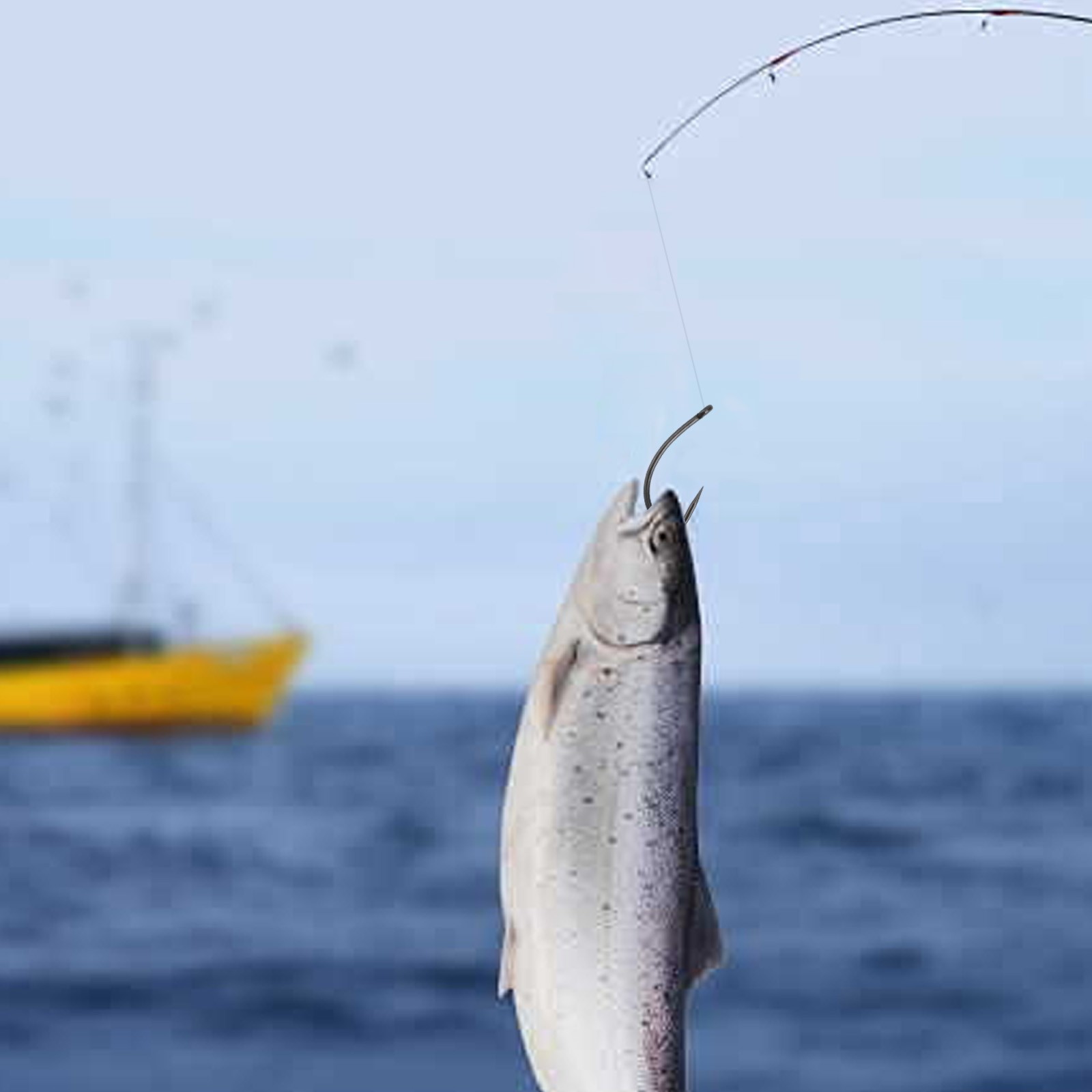50 pièces hameçons de pêche à tige incurvée haut de gamme carpe sans barbel - Picture 25 of 51
