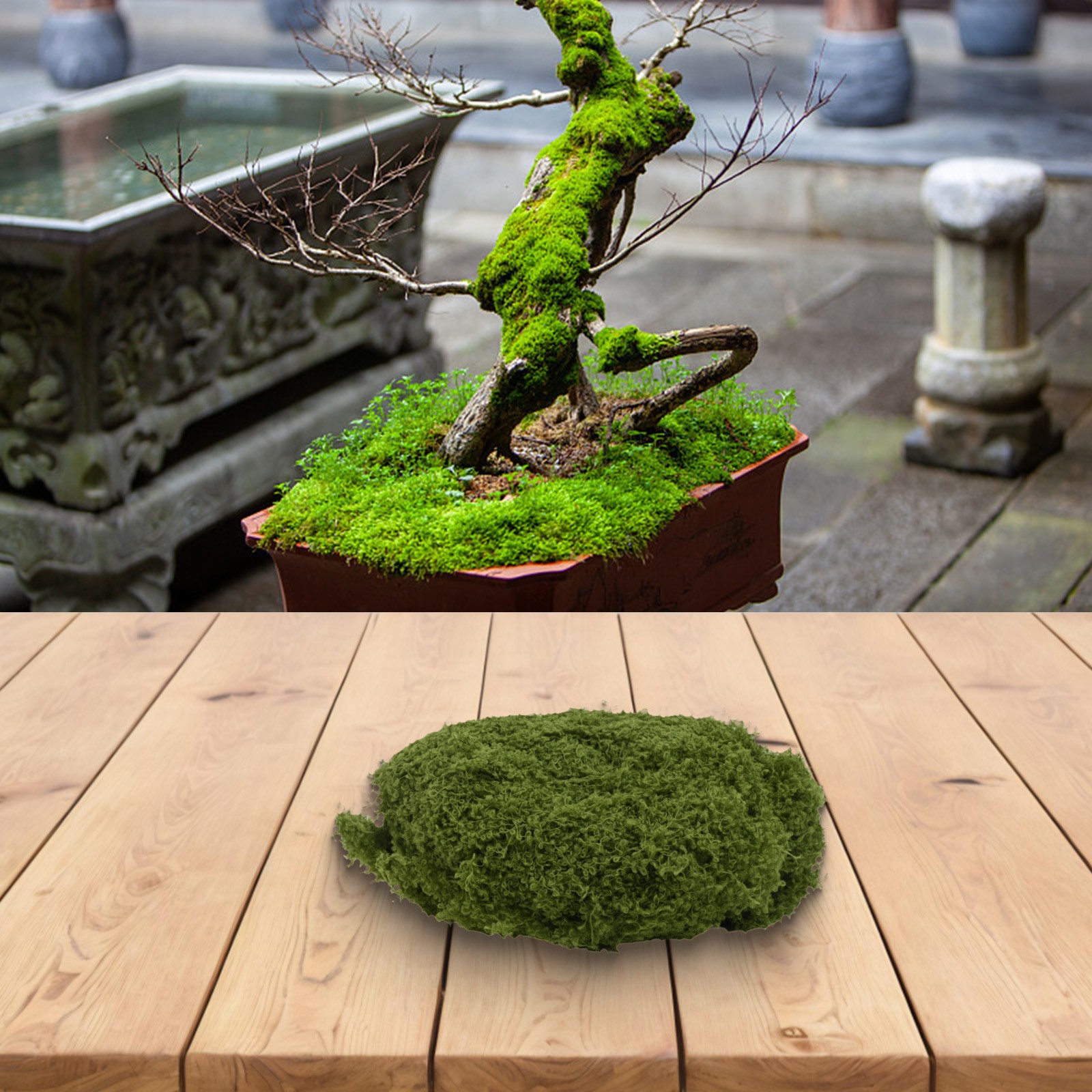 Lifelike Design-Artificial Moss For Plant Pot Decoration Enhance Aesthetics New - Bild 56 von 63