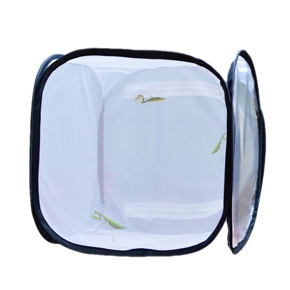Coffret Habitat Plante ??ducatif Con?u pour Insectes et points de vente Activit??s Enfants