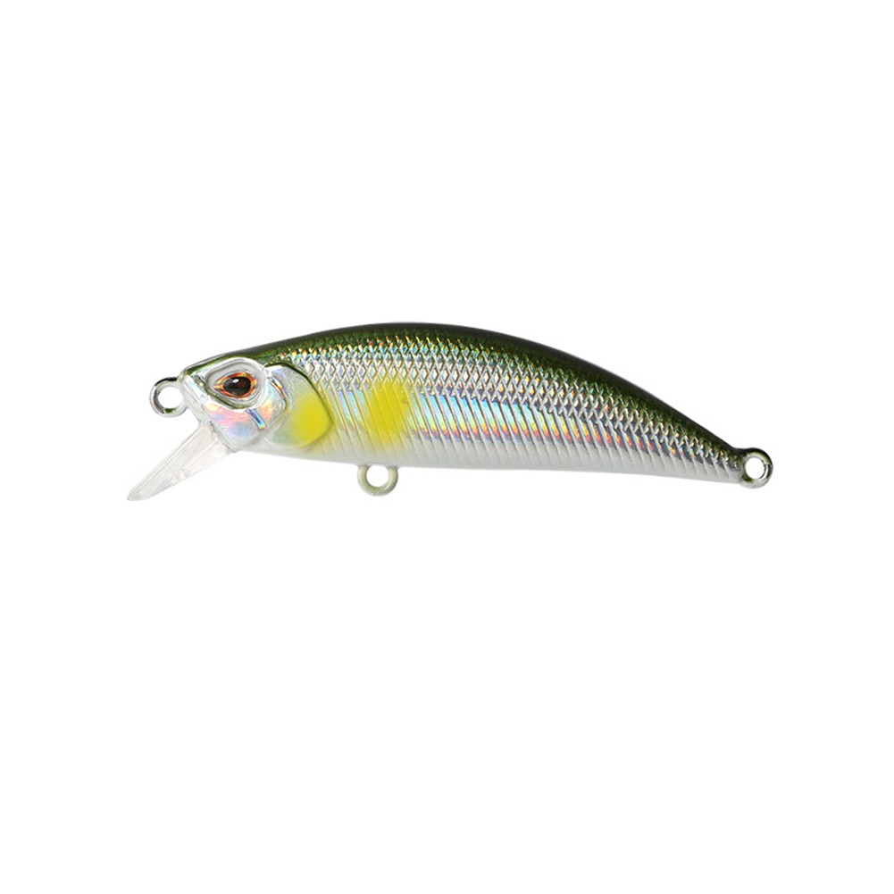 Leurres de pêche à l'achigan et pour l'attraction à la truite avec méné cou - Photo 36/41