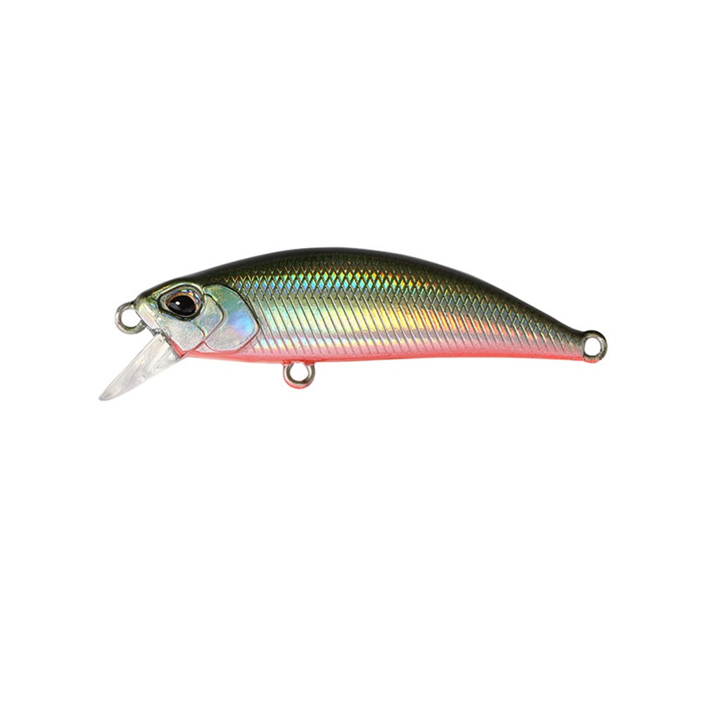 Leurres de pêche à l'achigan et pour l'attraction à la truite avec méné cou - Photo 40/41