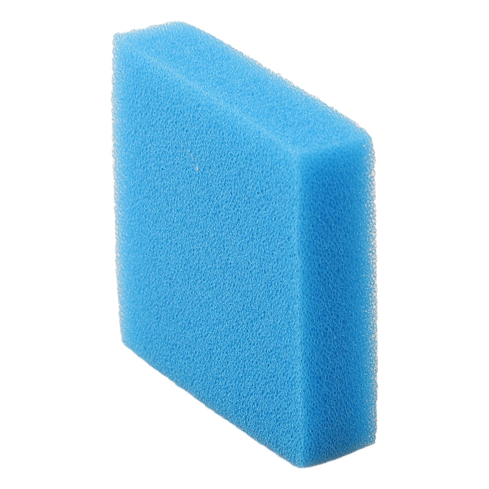 Cepillos de esponja perfectos para tus necesidades de aspiradora Eureka NEW400 - Imagen 20 de 31