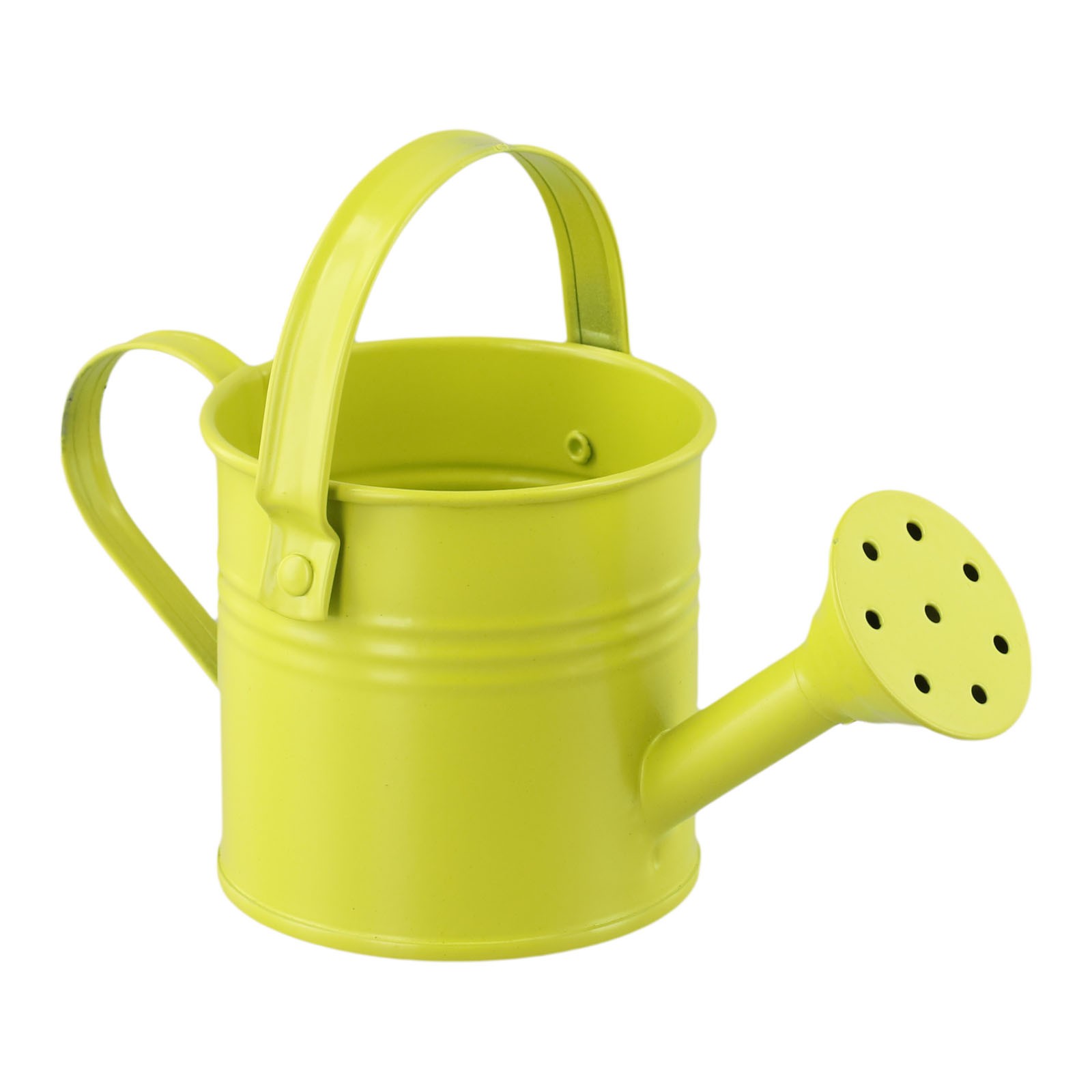 Annaffiatoio Riutilizzabile per Giardini Bocca Lunga Design Aumenta Umidità Ros - Foto 42 di 67