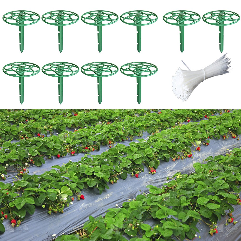 Gardening Solution 10 Count of vendu Strawberry Supports to Keep Plants Elevated