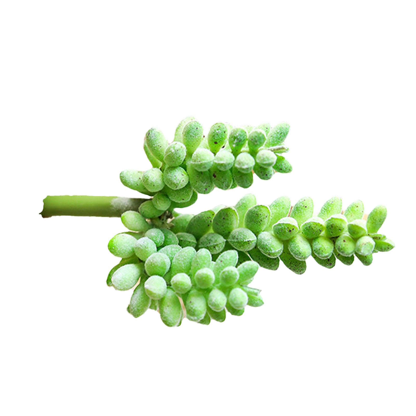 Künstliche Kakteen & Sukkulenten Pflanzen Für Eine Perfekte Raumdekoration - Bild 35 von 44