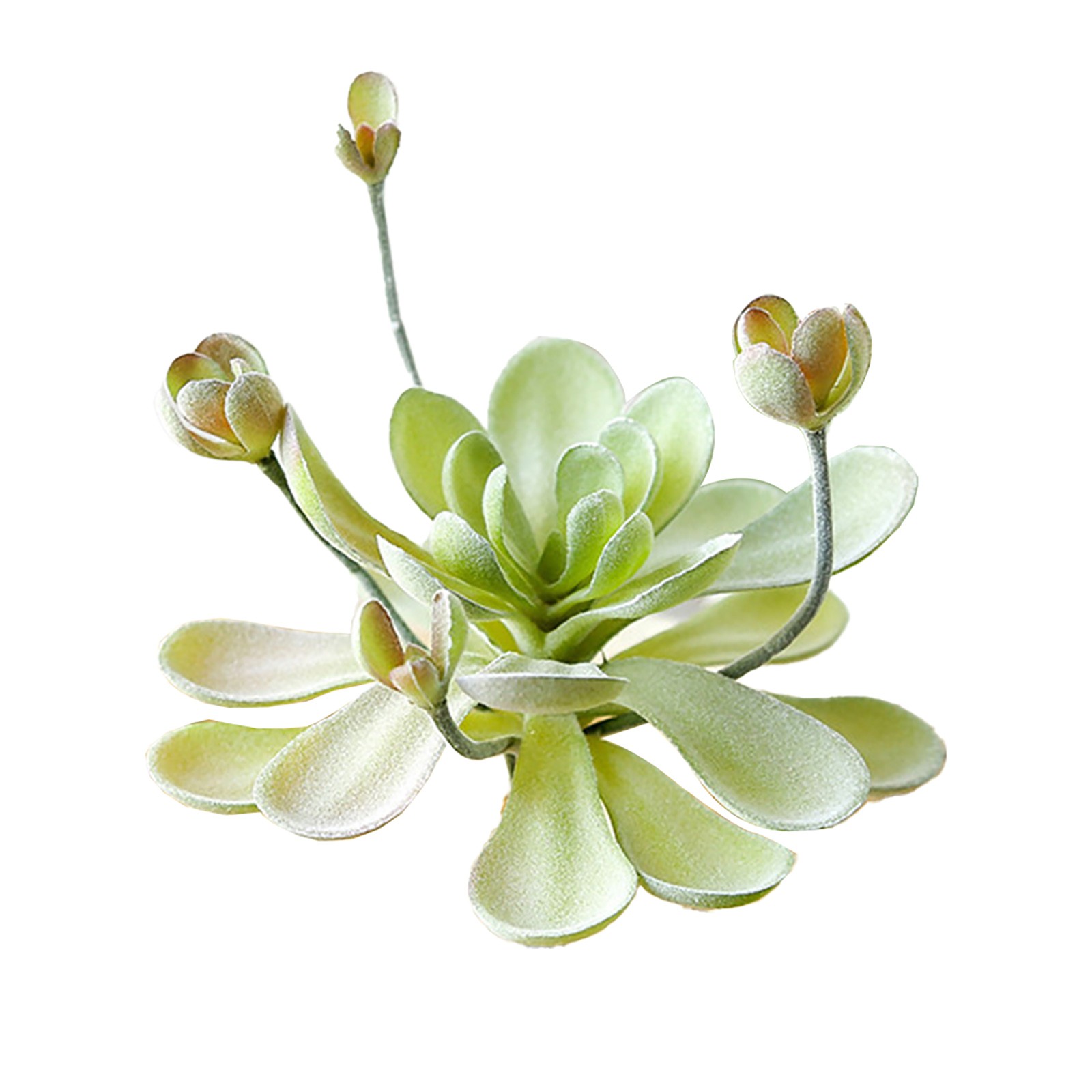 Künstliche Kakteen & Sukkulenten Pflanzen Für Eine Perfekte Raumdekoration - Bild 38 von 44