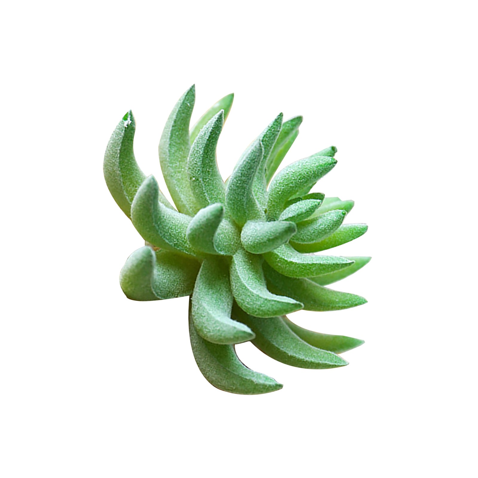 Künstliche Kakteen & Sukkulenten Pflanzen Für Eine Perfekte Raumdekoration - Bild 31 von 44