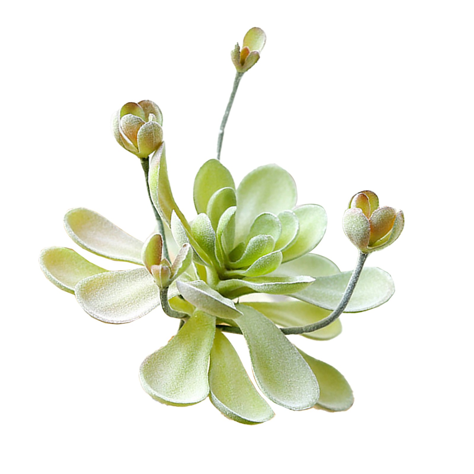 Künstliche Kakteen & Sukkulenten Pflanzen Für Eine Perfekte Raumdekoration - Bild 39 von 44