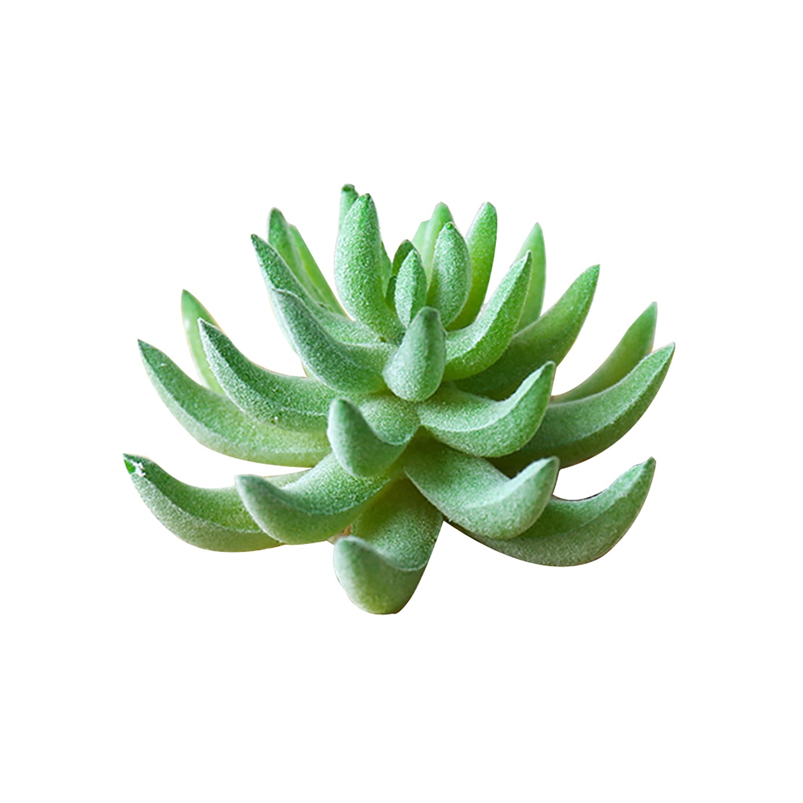 Künstliche Kakteen & Sukkulenten Pflanzen Für Eine Perfekte Raumdekoration - Bild 30 von 44