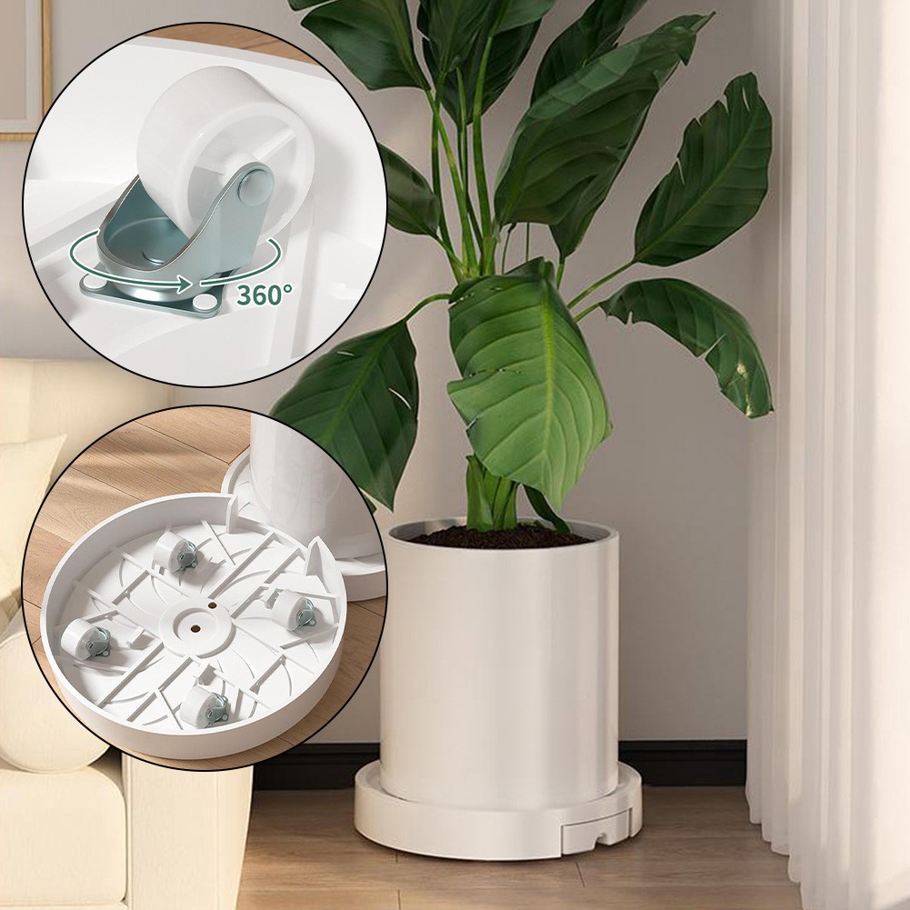 Rollbare Blumentopfschale mit Drainage und Wasserspeicher für den soldes Innenbereich