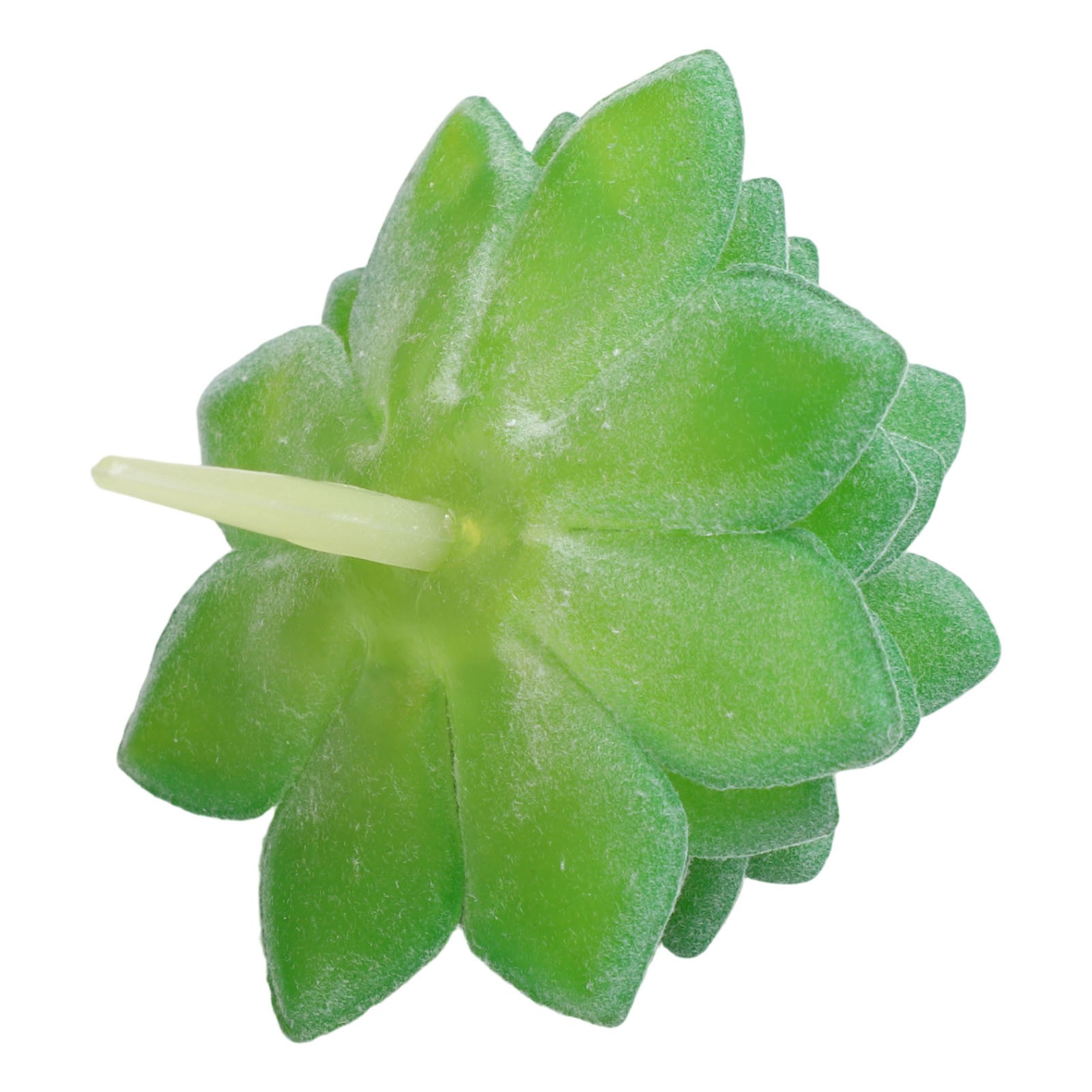 Künstliche Kakteen & Sukkulenten Pflanzen Für Eine Perfekte Raumdekoration - Bild 19 von 44