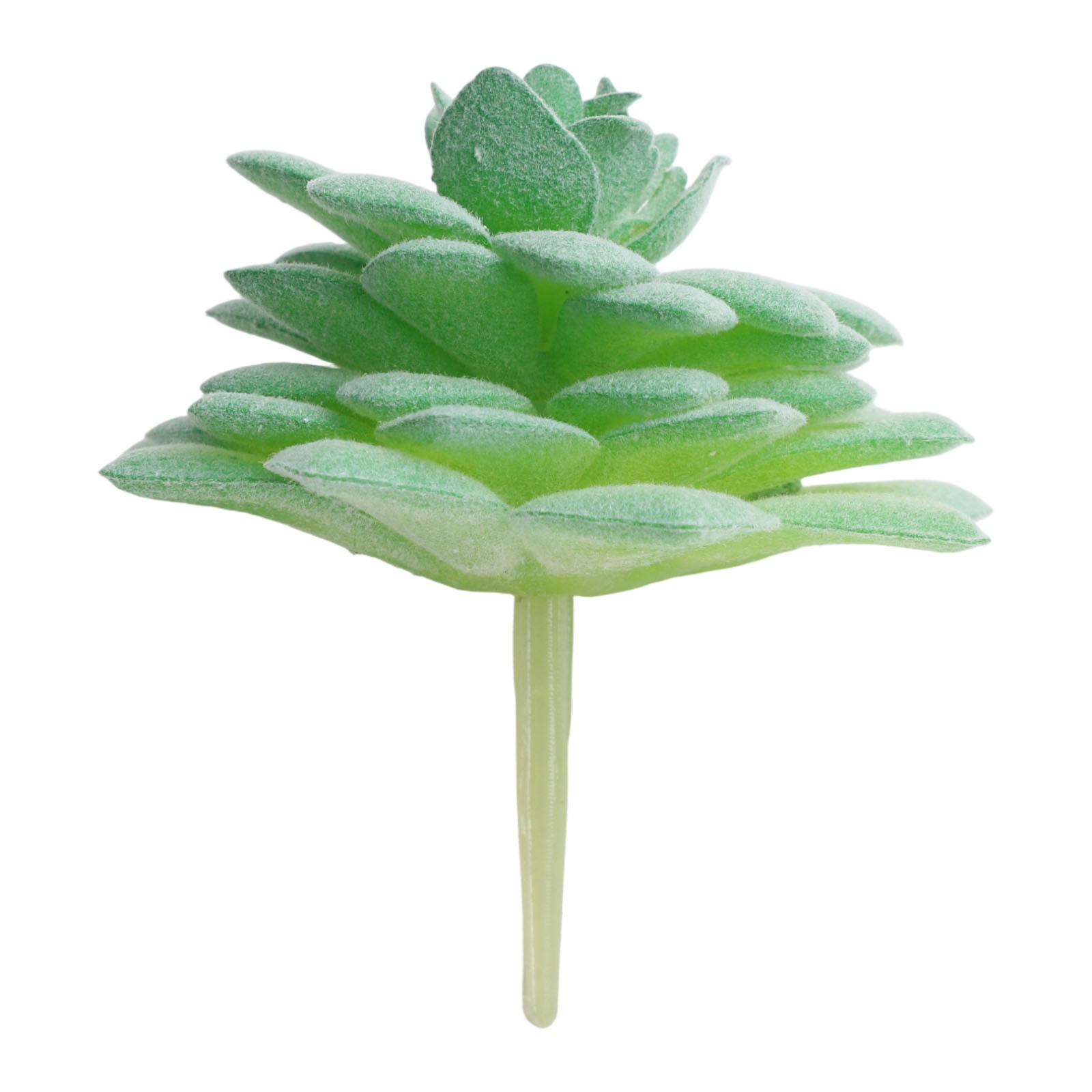 Künstliche Kakteen & Sukkulenten Pflanzen Für Eine Perfekte Raumdekoration - Bild 20 von 44