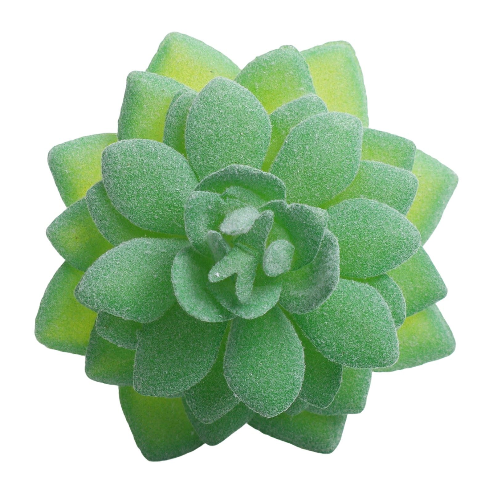 Künstliche Kakteen & Sukkulenten Pflanzen Für Eine Perfekte Raumdekoration - Bild 18 von 44