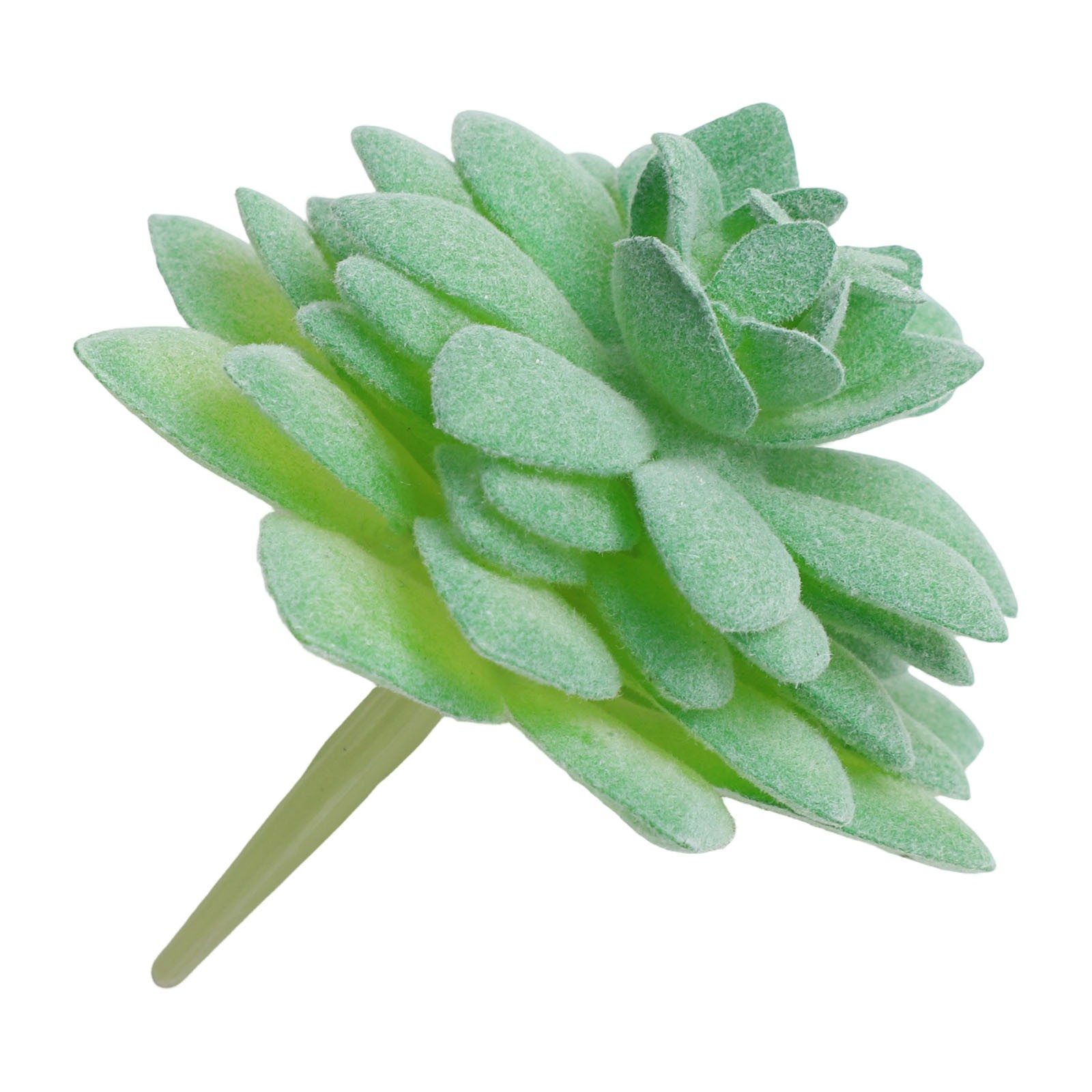 Künstliche Kakteen & Sukkulenten Pflanzen Für Eine Perfekte Raumdekoration - Bild 22 von 44