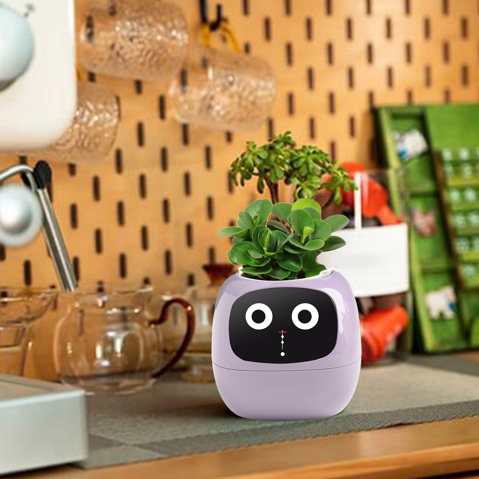 Pot de fleurs intelligent peu encombrant pour solutions d'entretien des plantes - Photo 18/32