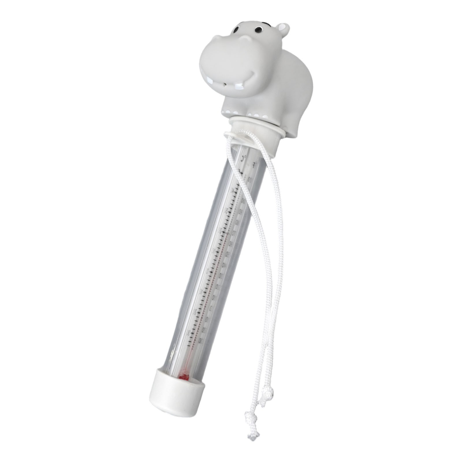 Convenient PVC Floating Thermometer for Accurate Pool Temperature Measurement - Picture 25 of 33