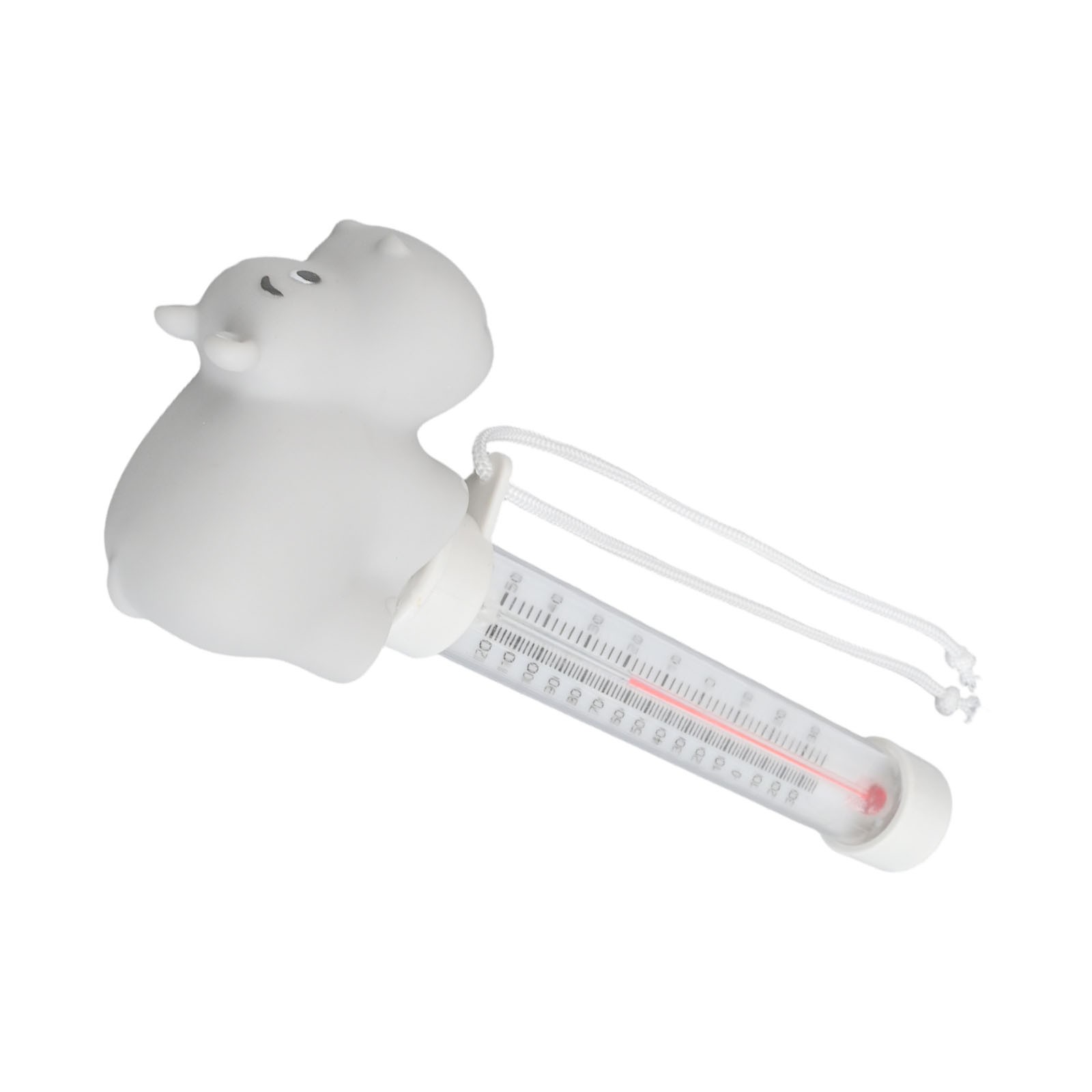 Convenient PVC Floating Thermometer for Accurate Pool Temperature Measurement - Picture 28 of 33