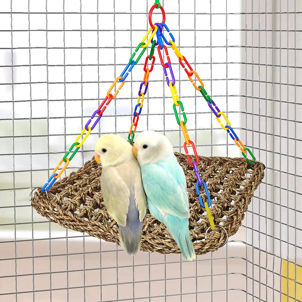 Balançoire à oiseaux herbiers marins naturels pour perruches jouet d'escalade - Photo 33/55