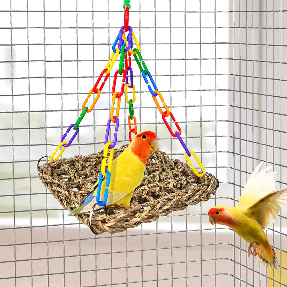 Balançoire à oiseaux herbiers marins naturels pour perruches jouet d'escalade - Photo 34/55