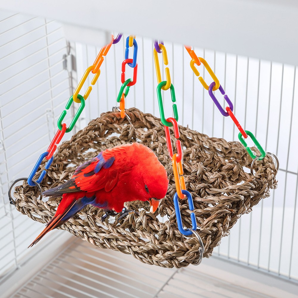 Balançoire à oiseaux herbiers marins naturels pour perruches jouet d'escalade - Photo 35/55
