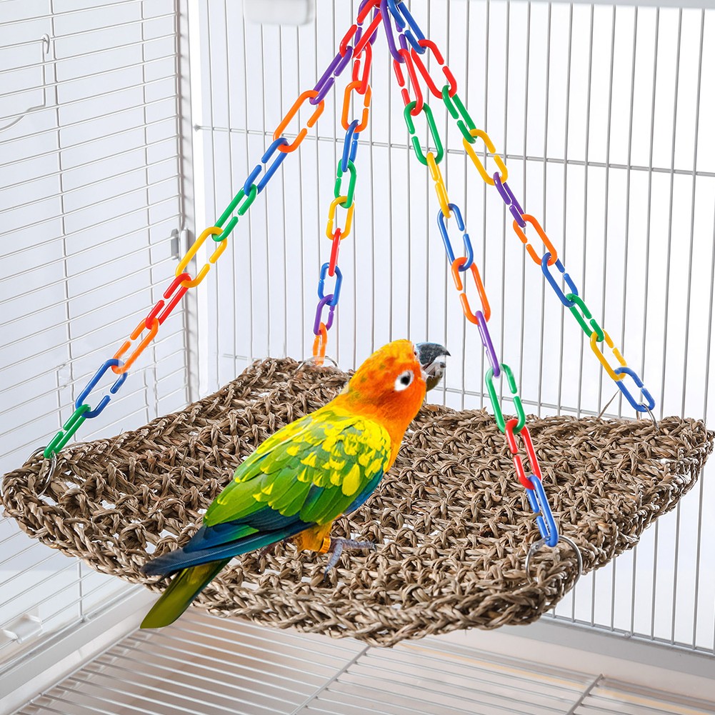 Balançoire à oiseaux herbiers marins naturels pour perruches jouet d'escalade - Photo 30/55