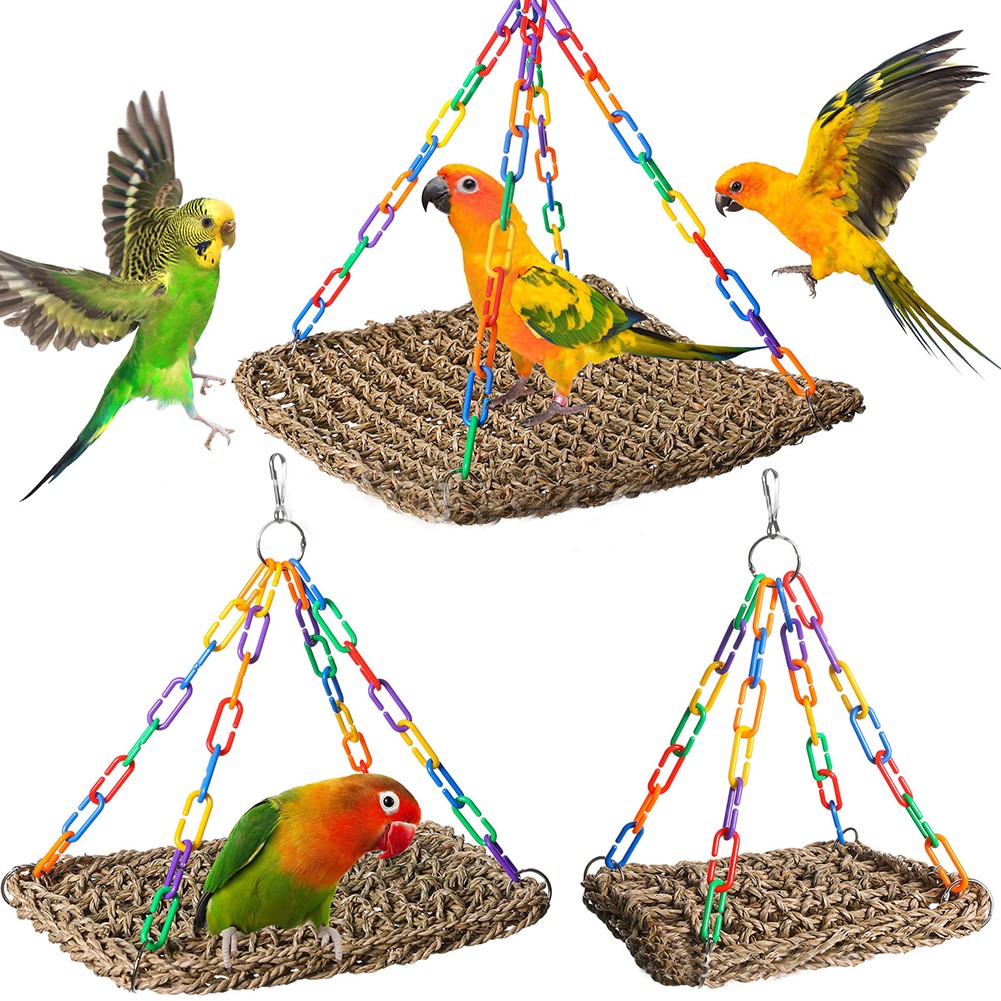 Balançoire à oiseaux herbiers marins naturels pour perruches jouet d'escalade - Photo 31/55