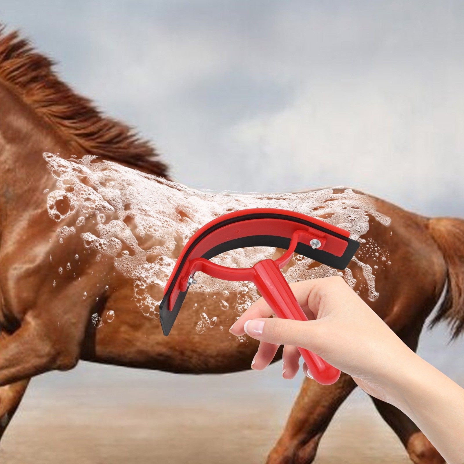 Lightweight and Effective Horse Bathing Tool The Ideal Sweater Scraper