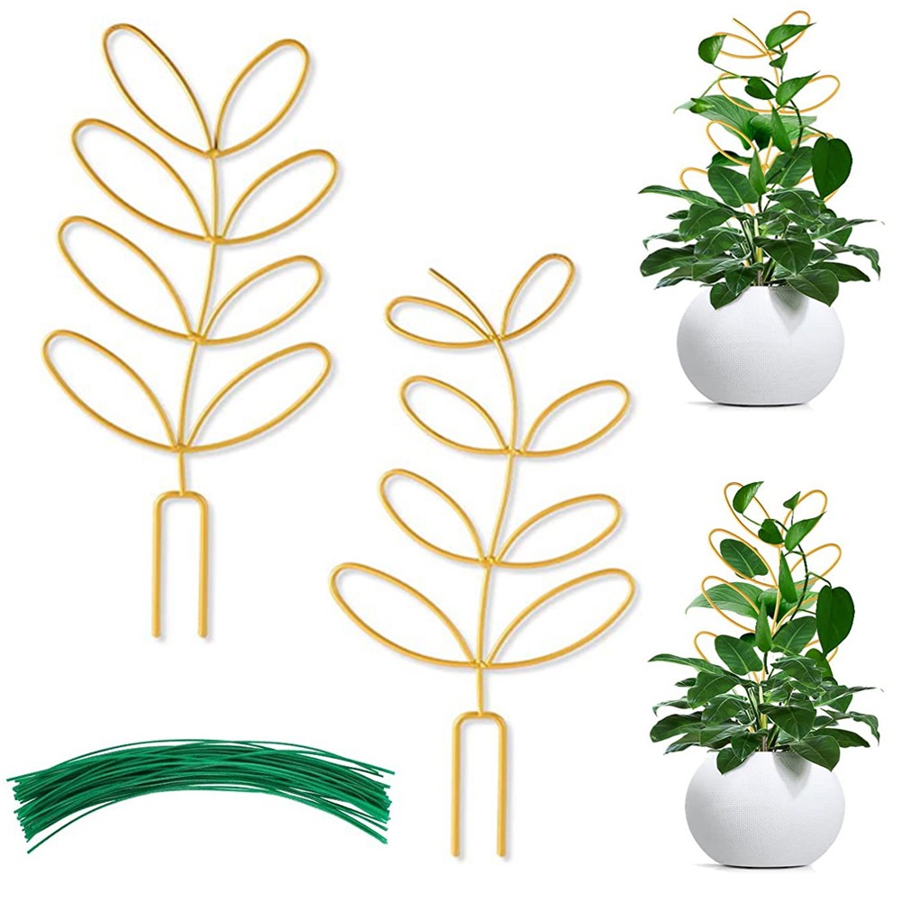 Lot de 2 treillis compacts officiel en métal pour petits pour plantes grimpantes et décoration
