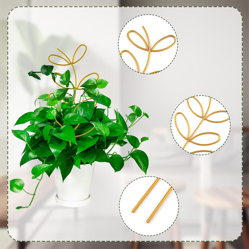 Lot de ventes exceptionnelles 2 treillis compacts en métal pour petits pour plantes grimpantes et décoration