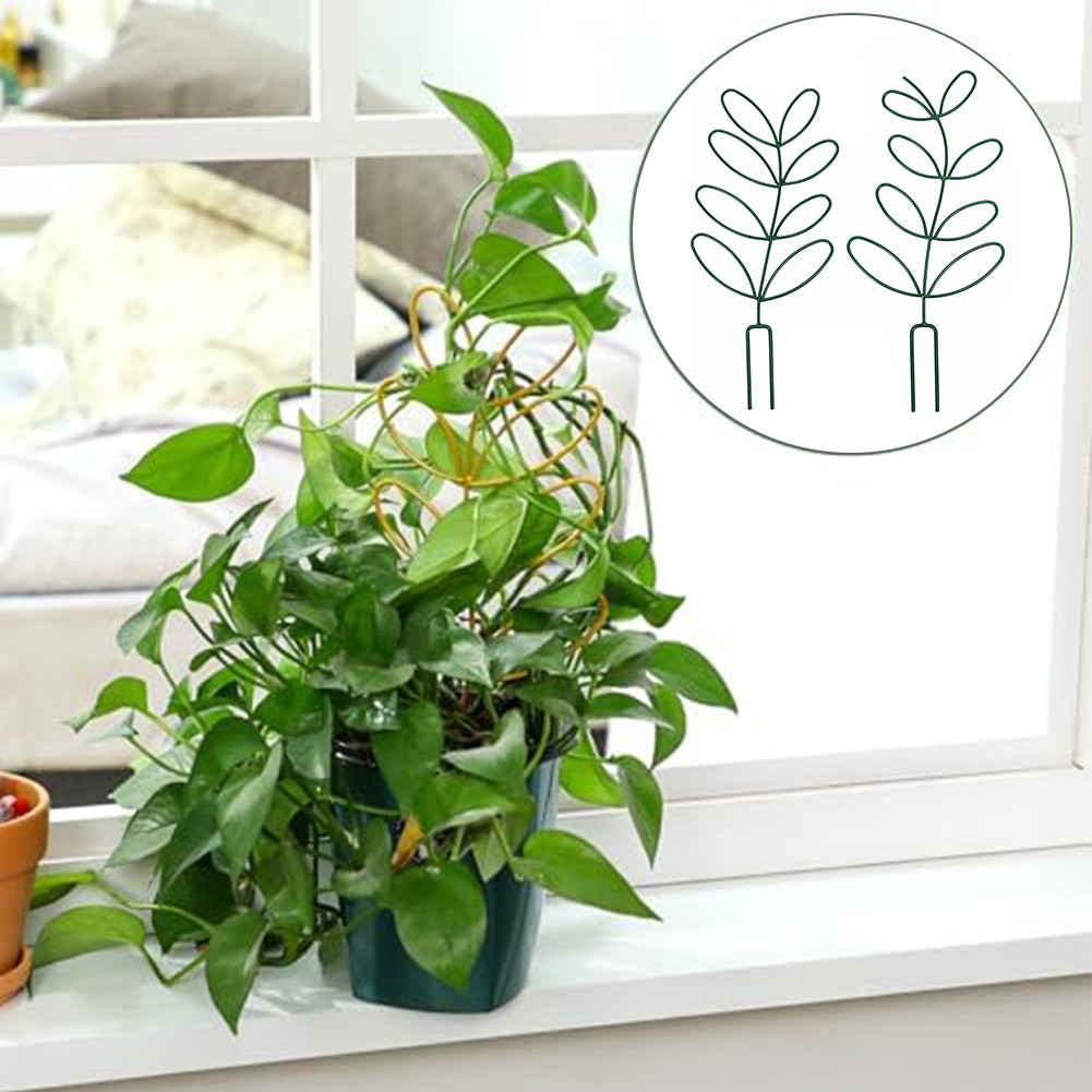 Lot de 2 treillis compacts officiel en métal pour petits pour plantes grimpantes et décoration