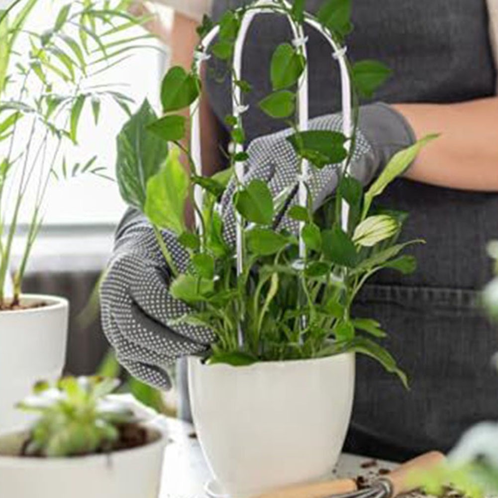 compo sana mediterrane pflanzenerde COMPO SANA® Rhododendron- und Hortensienerde kaufen