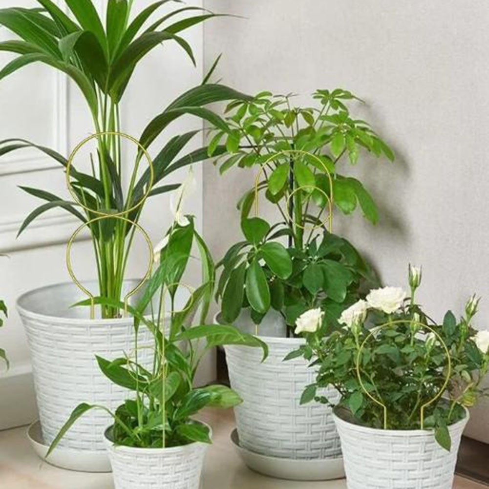 Metal Plant Climbing Frame for Indoor Outdoor Support of Climbing Plants |  eBay