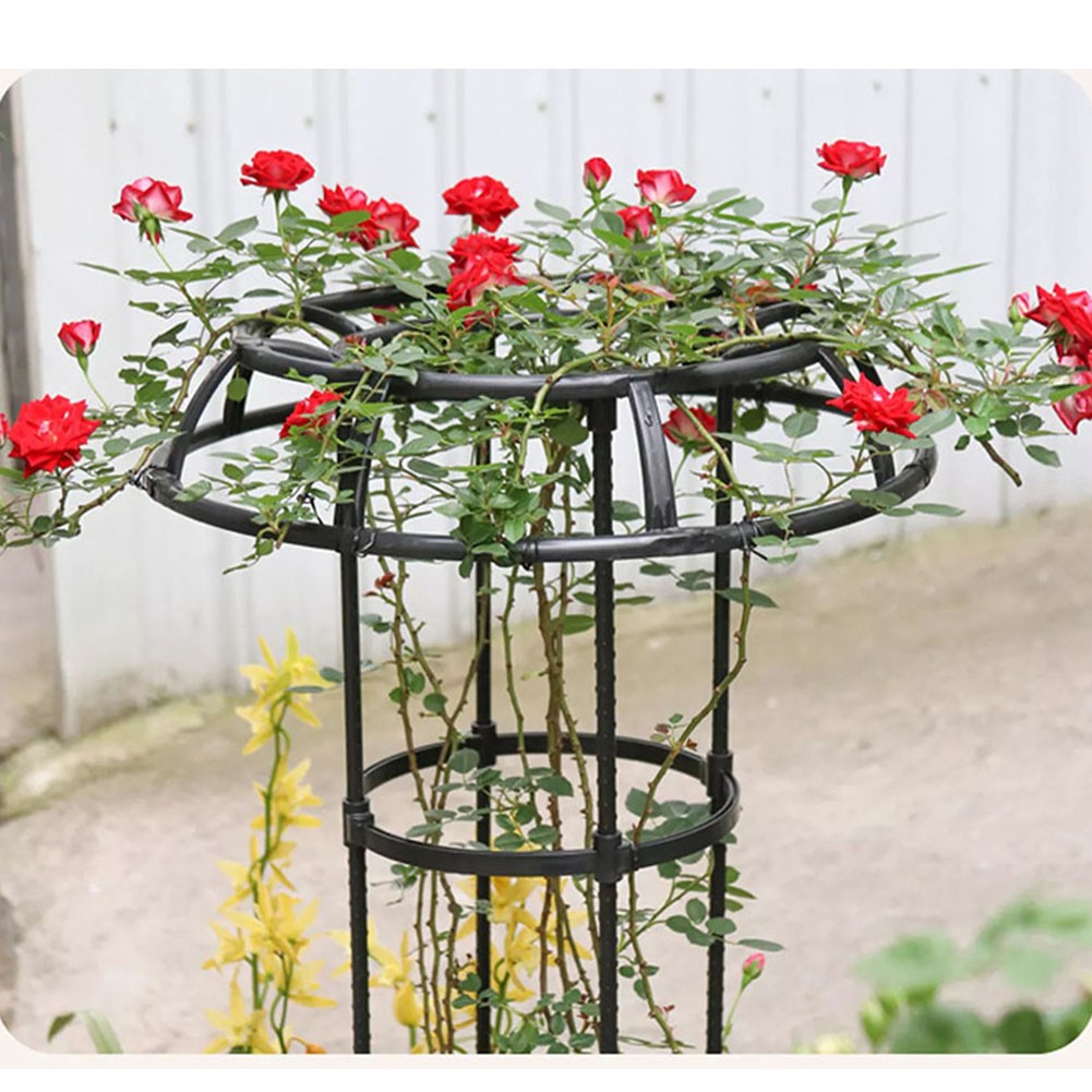 Treillis offres de jardin noir réglable pour plantes grimpantes différentes tailles offertes