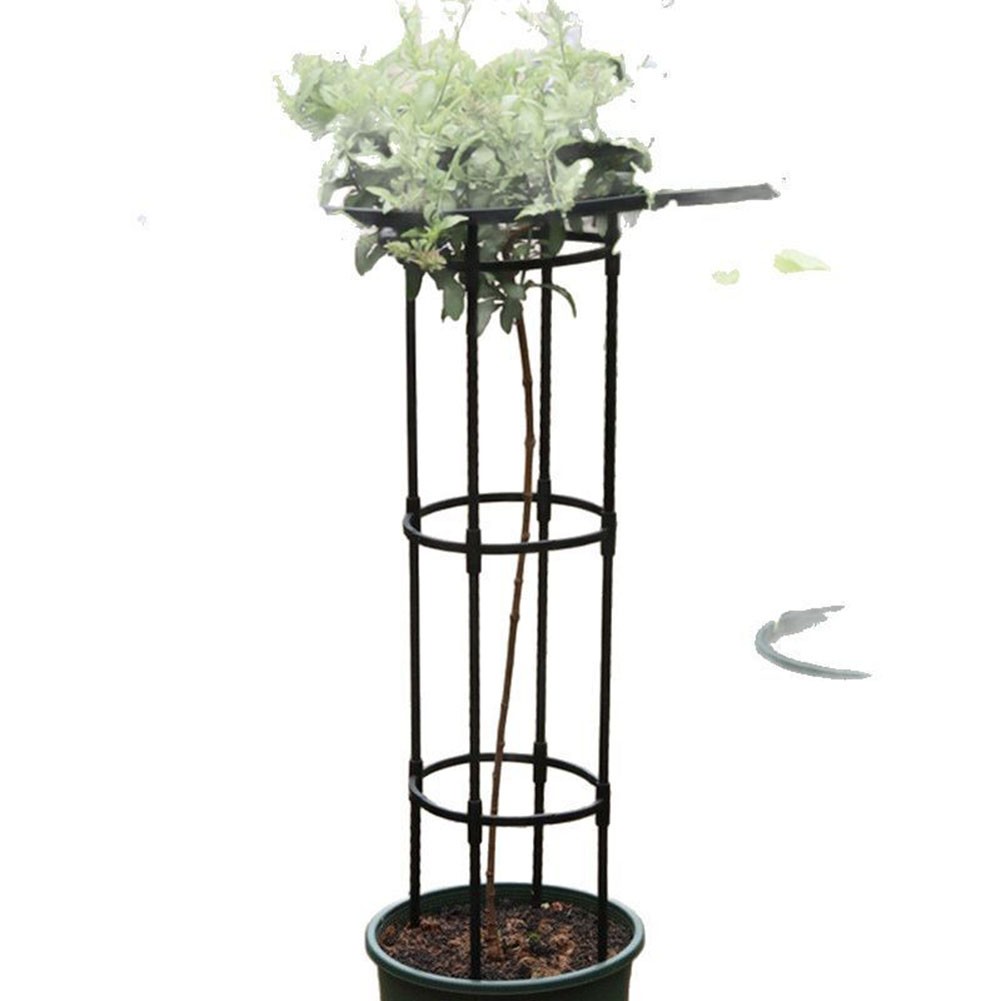 Treillis de jardin noir réglable pour collection plantes grimpantes différentes tailles offertes