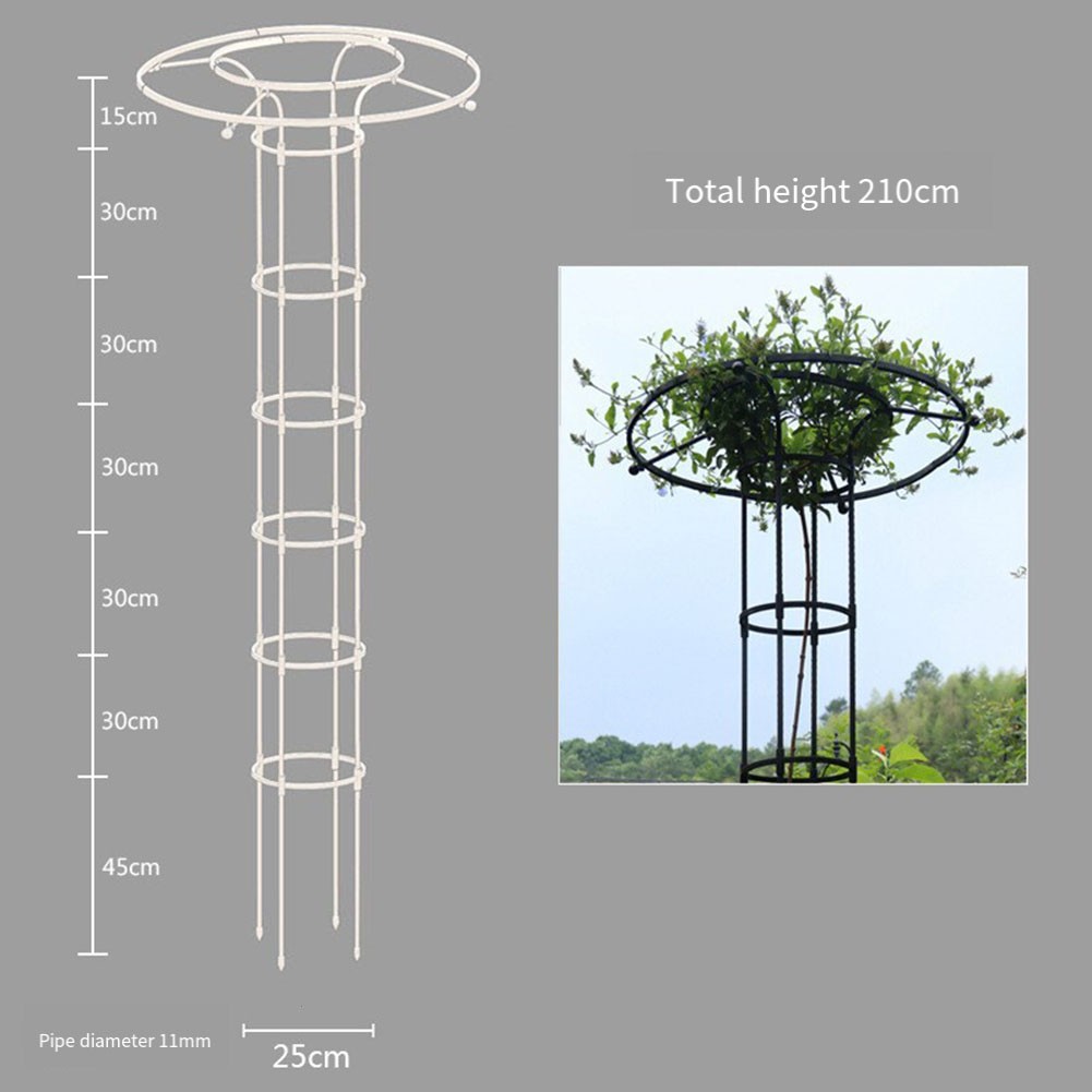 Support tendance Plante Grimpante Structure de Support Plante Robuste Différentes Tailles Disponibles