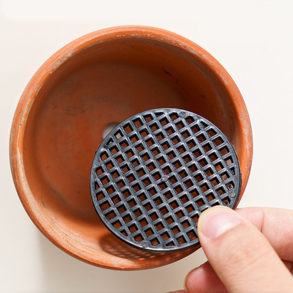 Pot de fleurs rond coussinets 2024 en maille pour un drainage am��lior�� et la sant��
