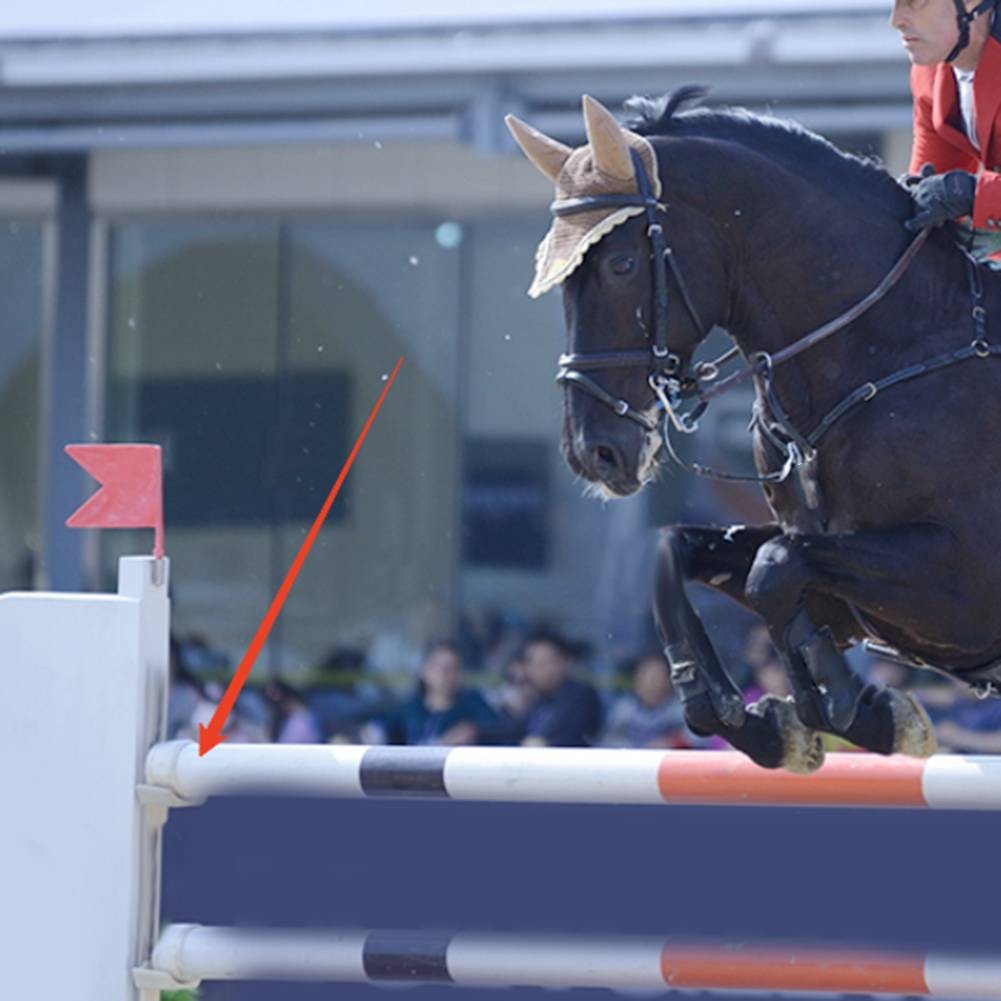 User Friendly Equestrian Horse Jumping Cup Holder with No Tools Required