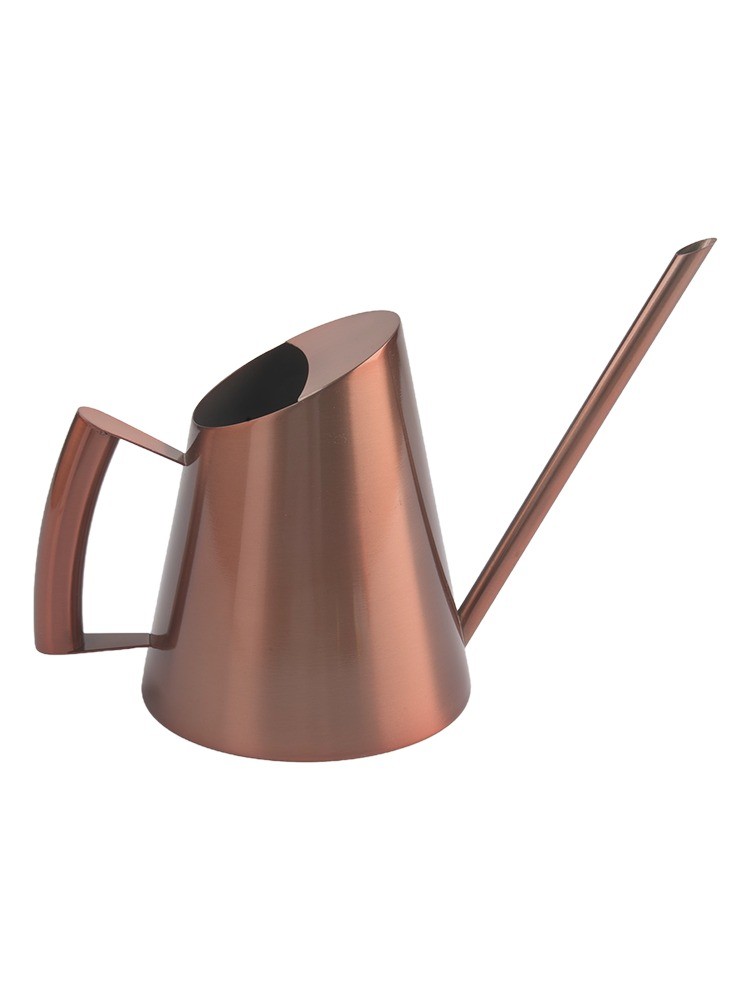 Long Spout Watering Can Crafted from Stainless Steel for Gardening Enthusiasts - Photo 33/57